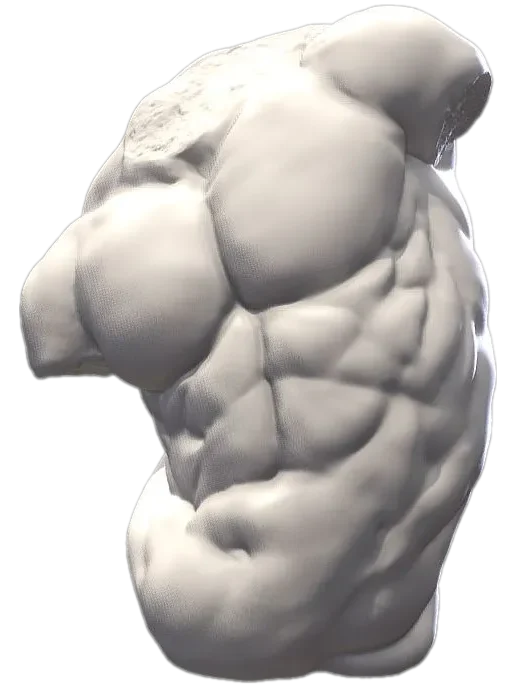 Anatomy Sculpt