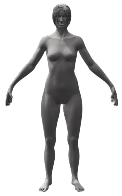 Anatomy Study - Woman body