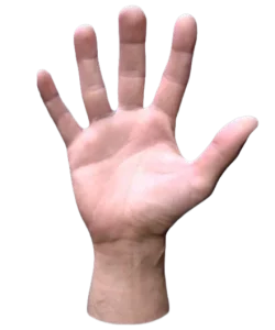 Male-Hand